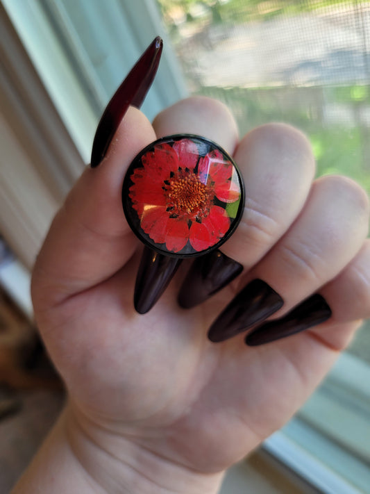 Goth Black and Red Dried Flower Resin Cabochon Adjustable Ring